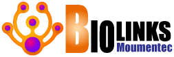 Website logo